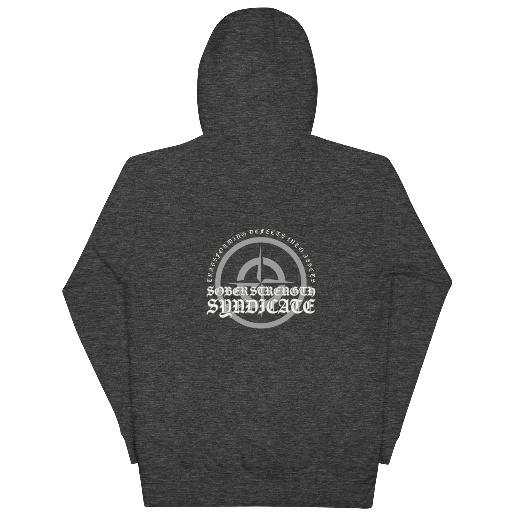 unisex-premium-hoodie-charcoal-heather-back-656d130a783a4.jpg